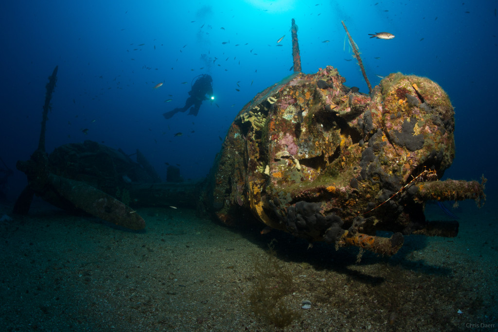 P38 Fighter Wreck
