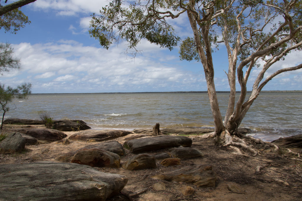 Boreen Point, Lake Cootharaba, north of Noosa Heads
